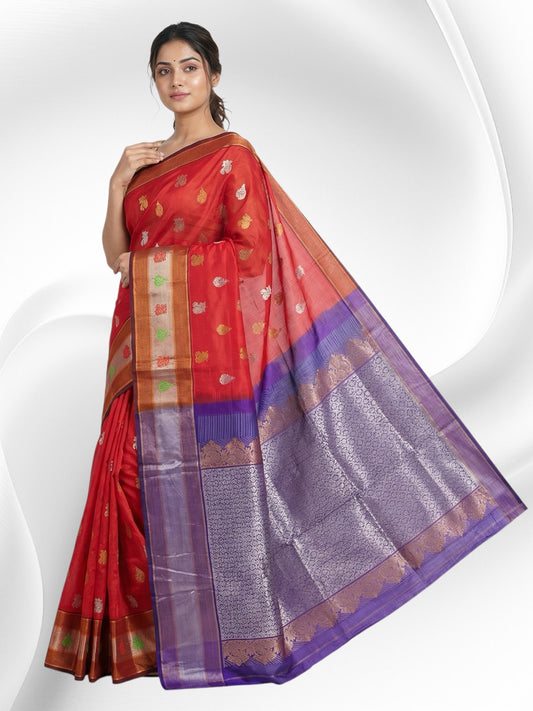 Venkatagiri Grandeur Red & Deep Violet Cotton Pattu Saree